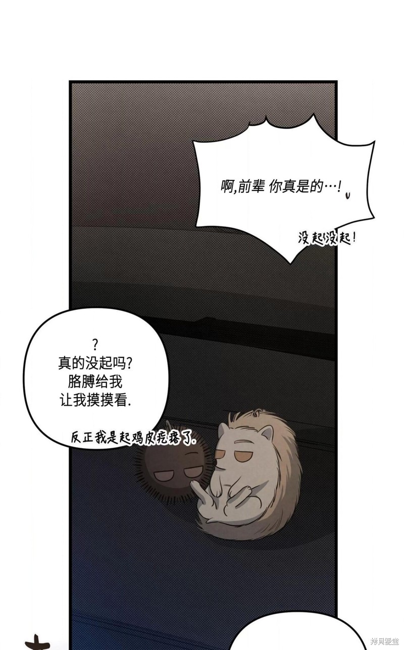 63.jpg
