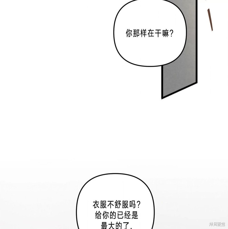 103.jpg