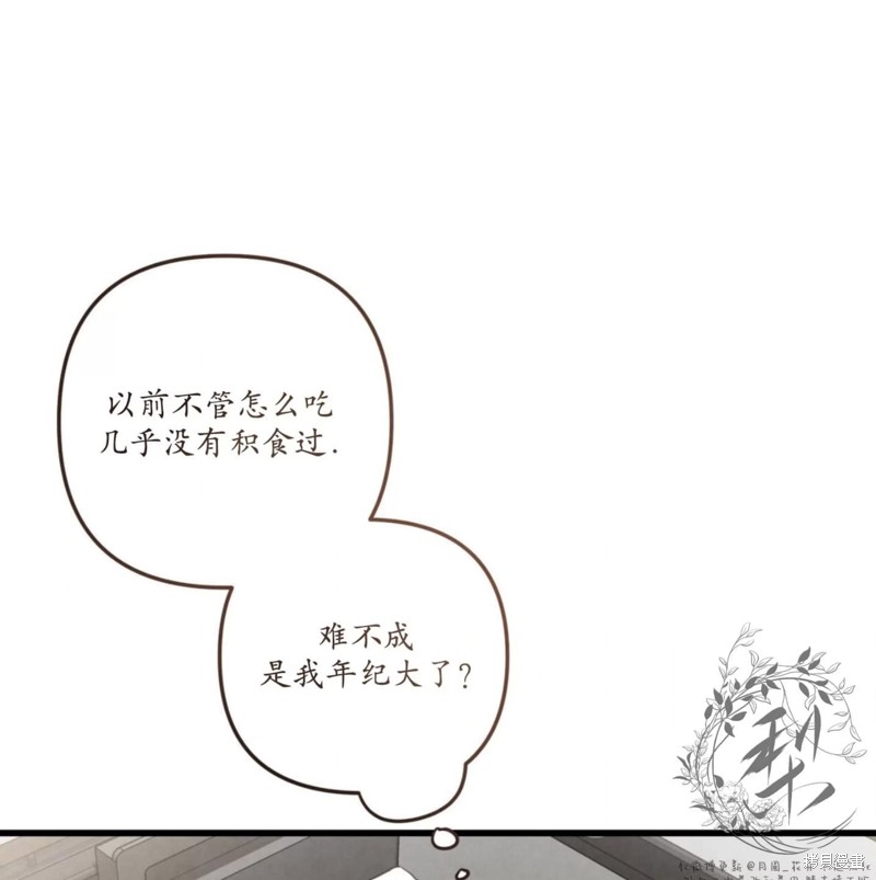 96.jpg