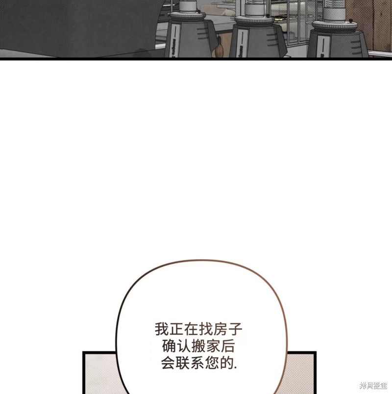 146.jpg